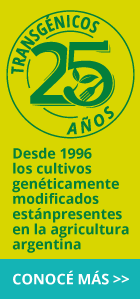 Desde 1996 los transgénicos están presentes en la agricultura argentina